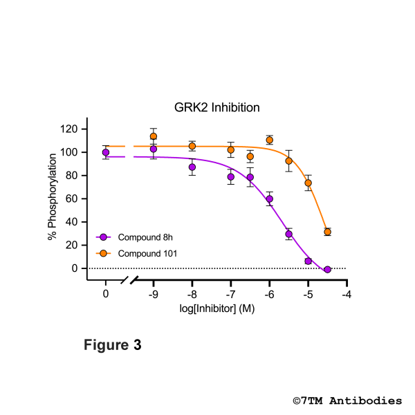 GRK Inhibitor Assays